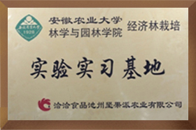 安农大实验实习香蕉视频在线观看网站
