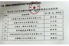2020年合肥市农业产业化市级龙头91香蕉APP成人污在线观看